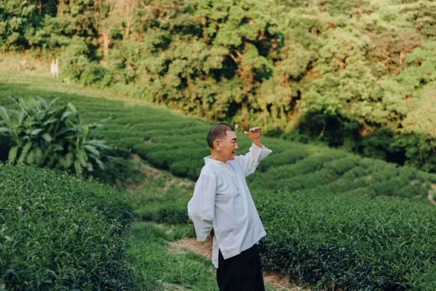 圖／許瑞麟的有機茶。（許瑞麟提供）