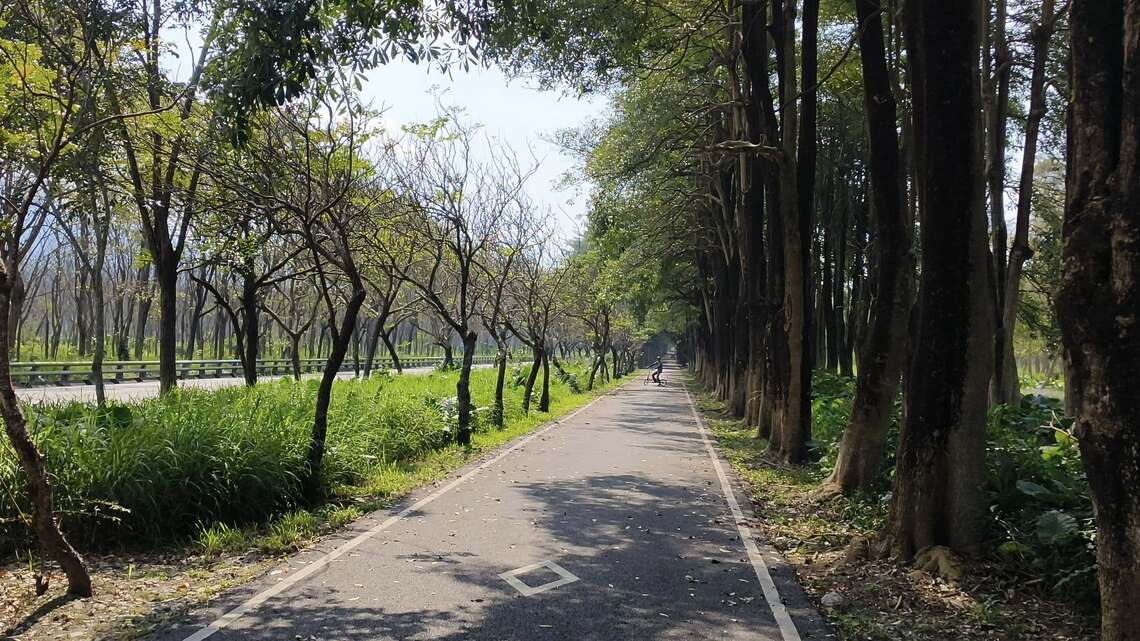 春節期間避開人群 縣道185散步 騎乘自行車悠哉