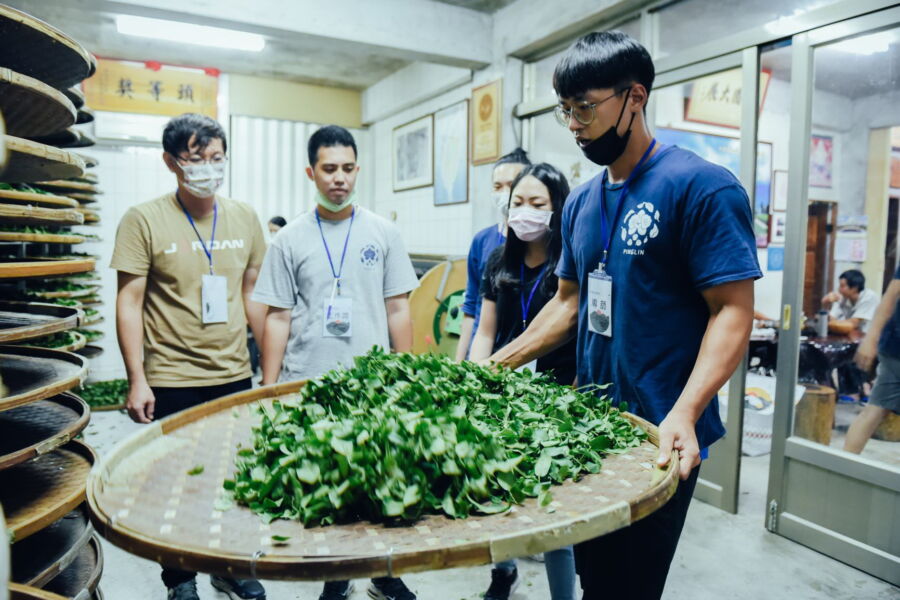 圖/坪林青年茶業發展協會新任理事長陳威憲將坪林包種茶推廣至各年齡層民。(新北市農業局提供)