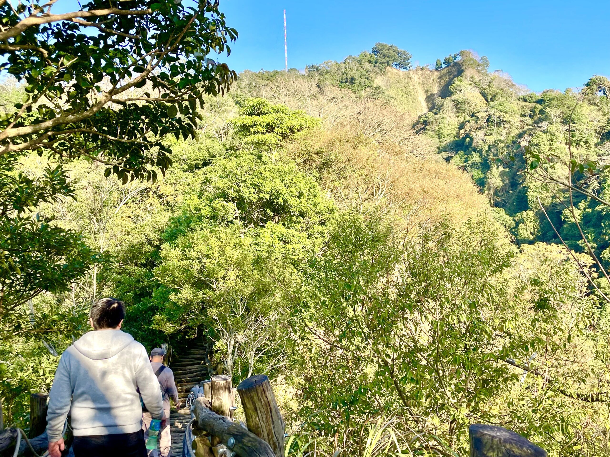 台中大坑登山步道春遊減脂好去處 2號彩色森林步道美景開箱