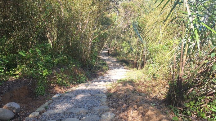 桃園秘境之旅 高遶溪古圳步道探索大自然與泰雅歷史 56 164080 0