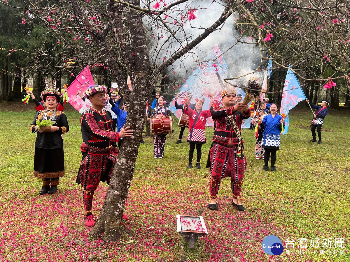 長老對櫻花說好話鼓勵櫻花，巫師祈穰祝福櫻花開好開滿。（九族文化村提供）