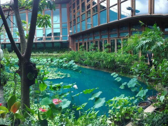 全台景點:六大特色花園秘境!