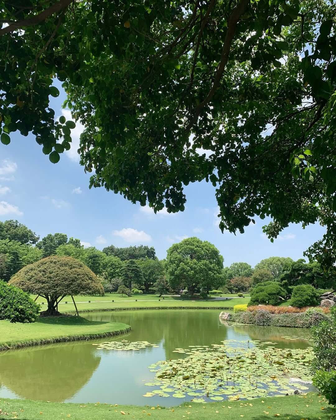 全台景點:六大特色花園秘境!