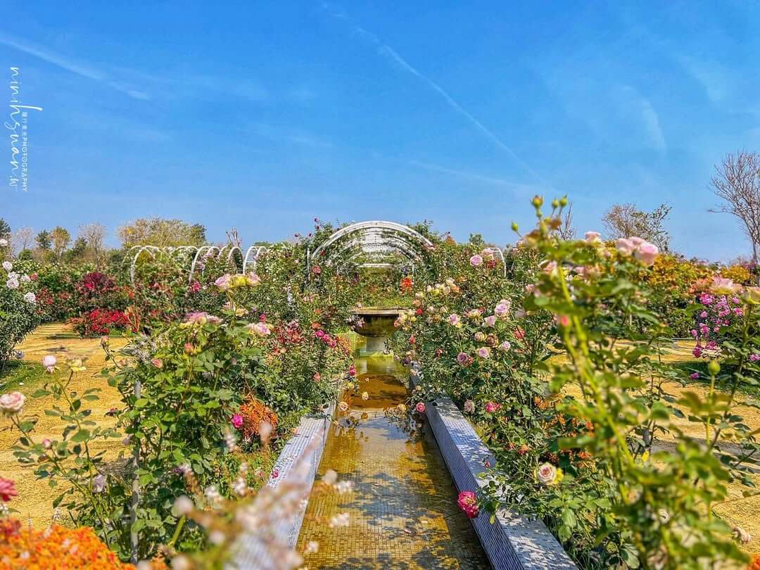 全台景點:六大特色花園秘境!