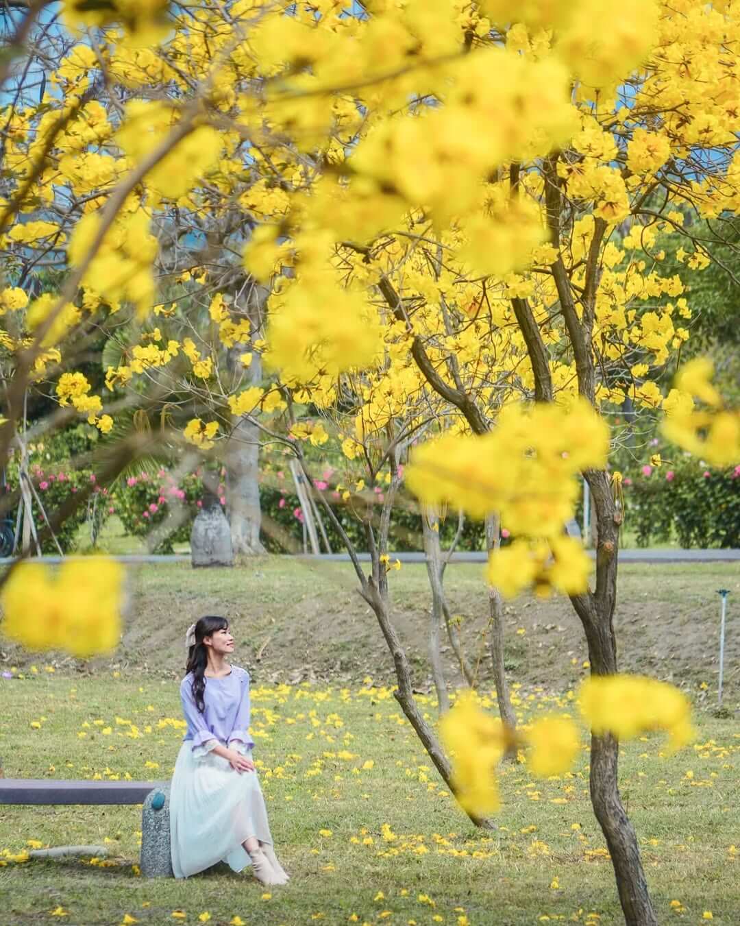 全台景點:六大特色花園秘境!