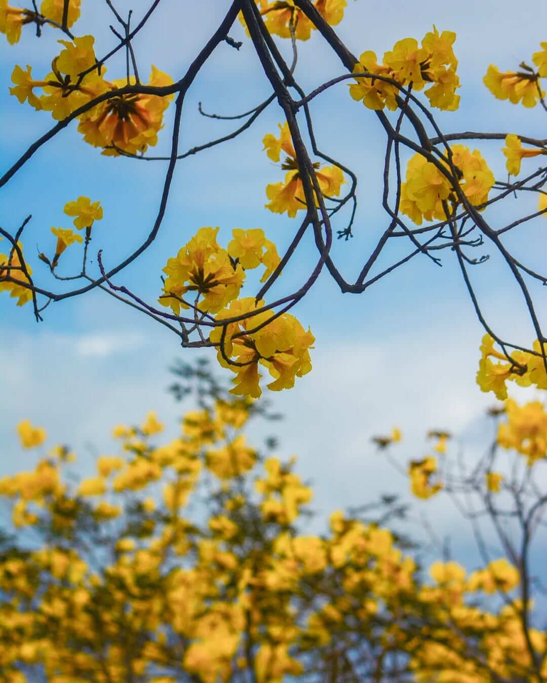 全台景點:六大特色花園秘境!