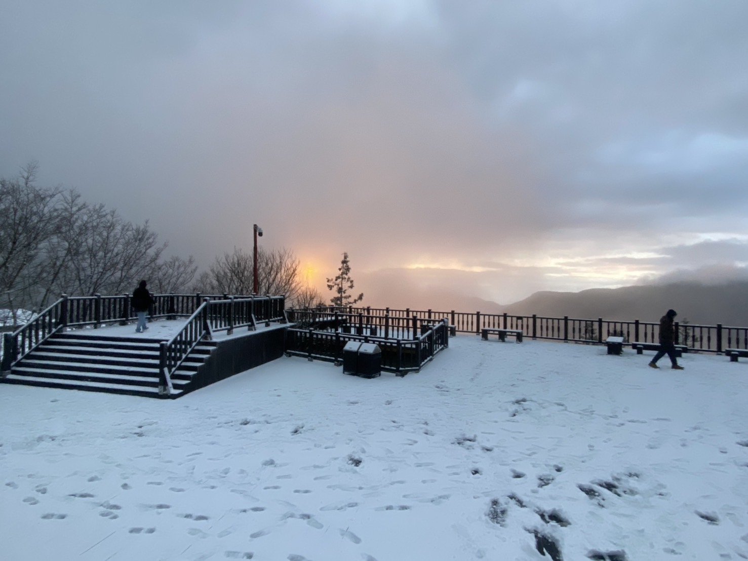 氣溫驟降!太平山一片雪白冰霜厚度一度達兩公分 - https://www.watchmedia01.com