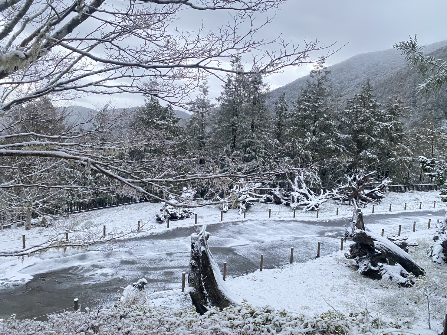 氣溫驟降!太平山一片雪白冰霜厚度一度達兩公分 - https://www.watchmedia01.com
