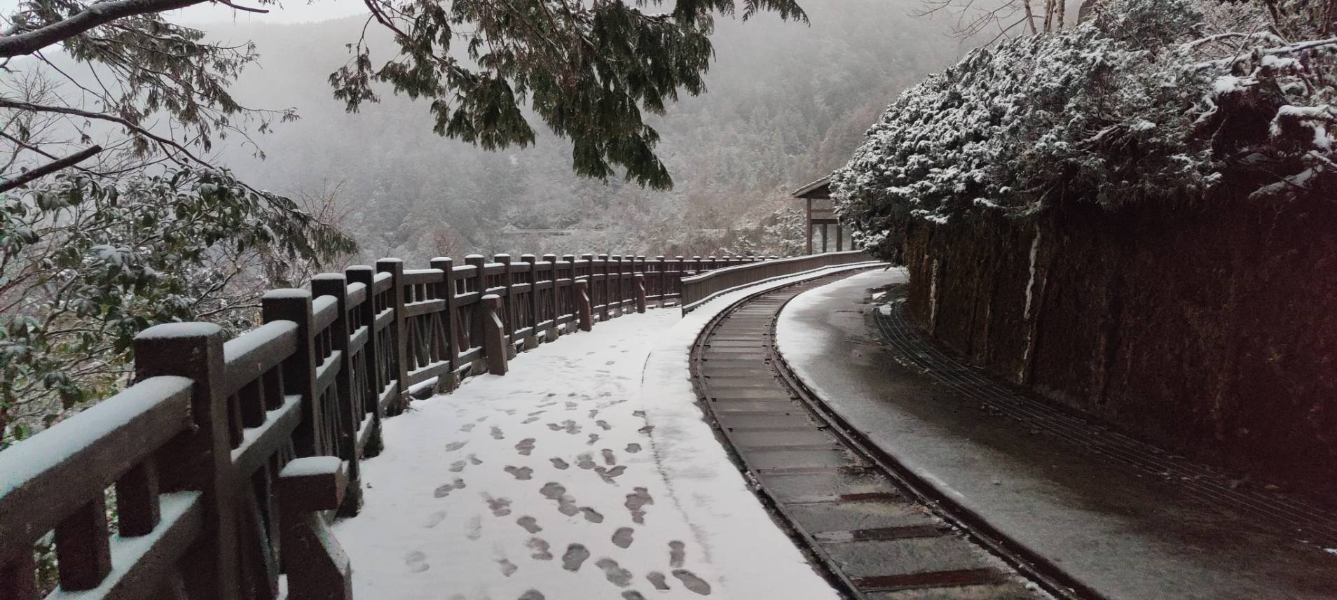 氣溫驟降!太平山一片雪白冰霜厚度一度達兩公分 - https://www.watchmedia01.com