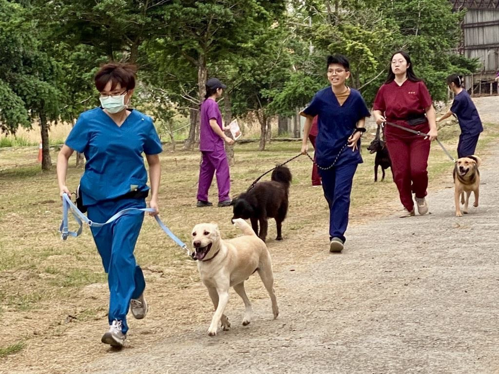財團法人林獻堂博物館國際教育中心推出「愛犬行為訓練課程」-跟愛犬互動及訓練過程。(圖/財團法人林獻堂博物館國際教育中心)