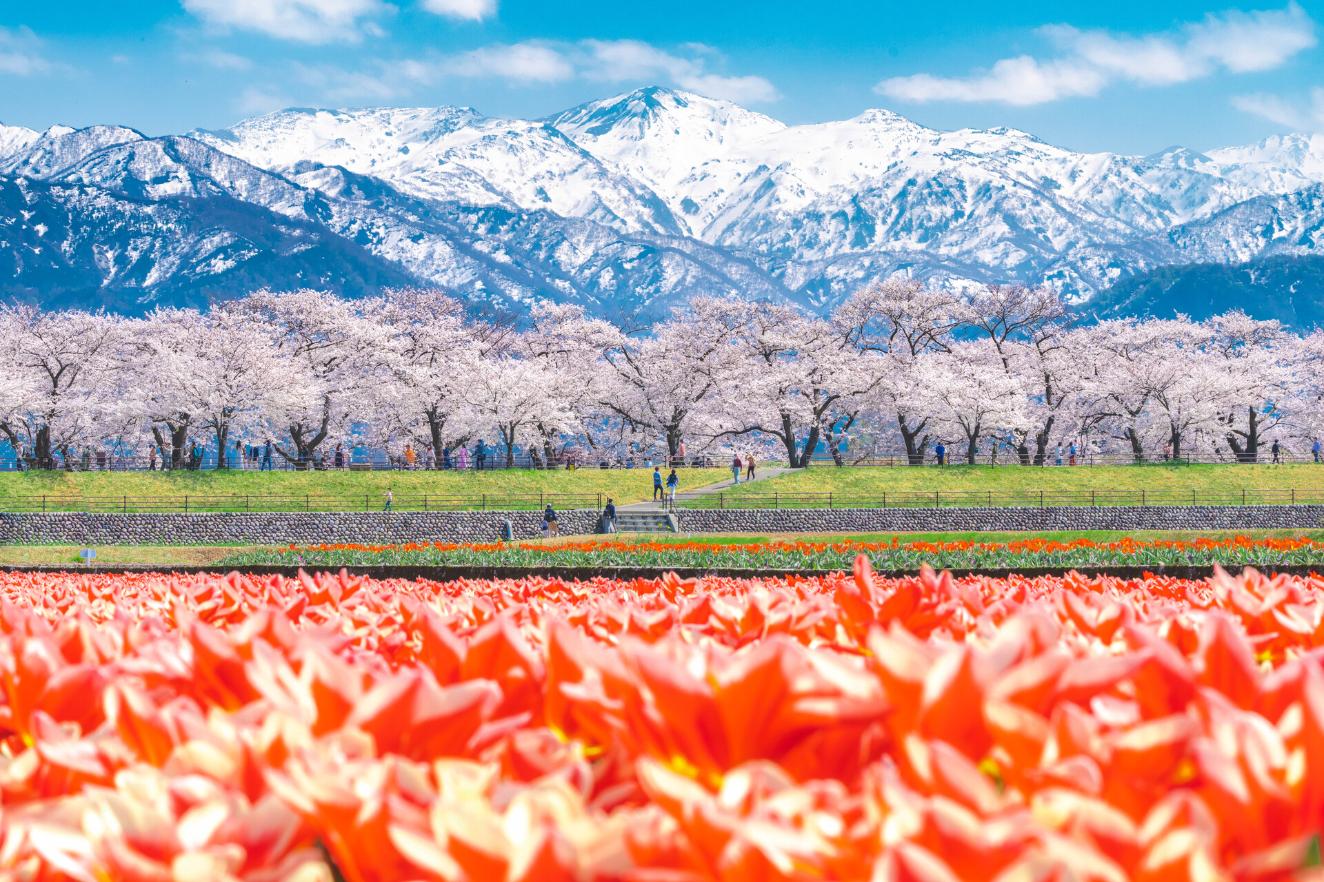 走進日本富山縣朝日「春日四重奏」看見全世界只有這裡才有的風景