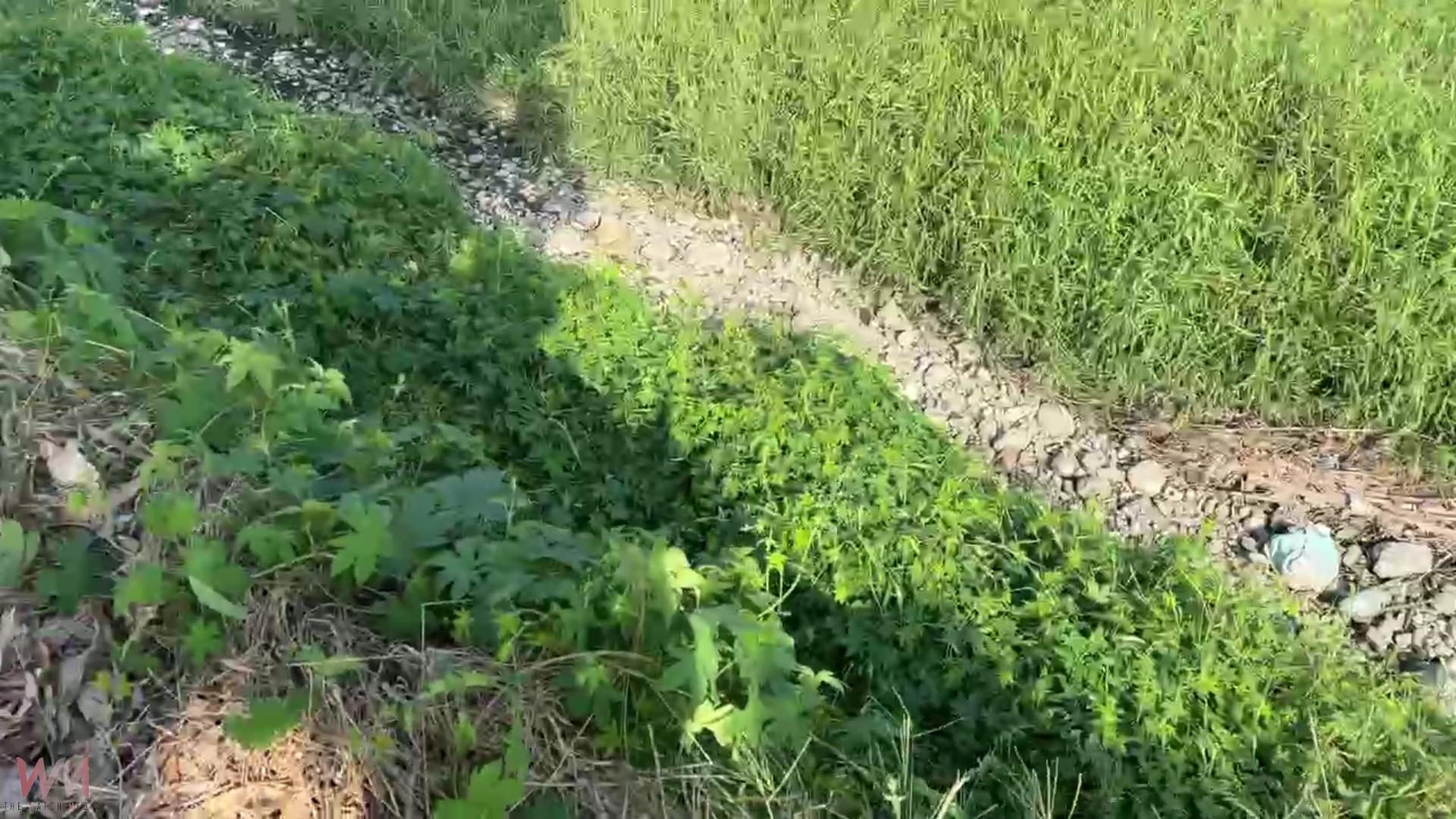 情海生波　男子涉嫌殺害接盤俠還棄屍排水溝 - https://www.watchmedia01.com