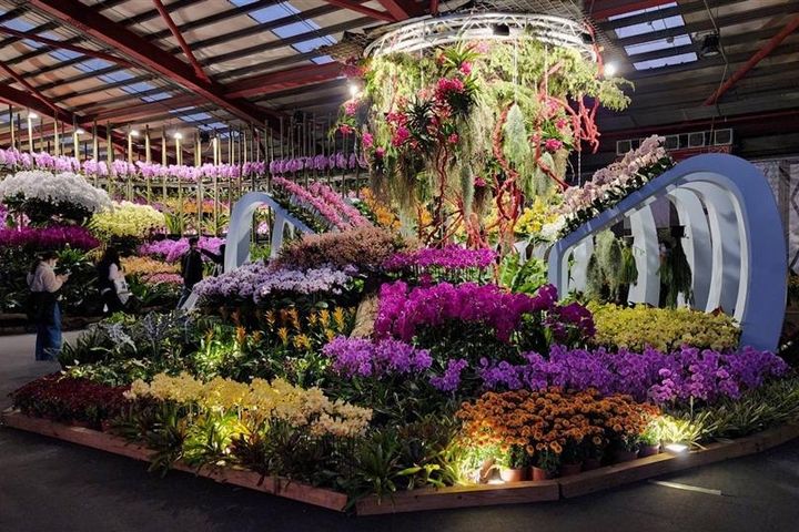 2025「花在彰化」在溪州公園活動持續從大年初一到元宵節。　圖：彰化縣政府／提供 