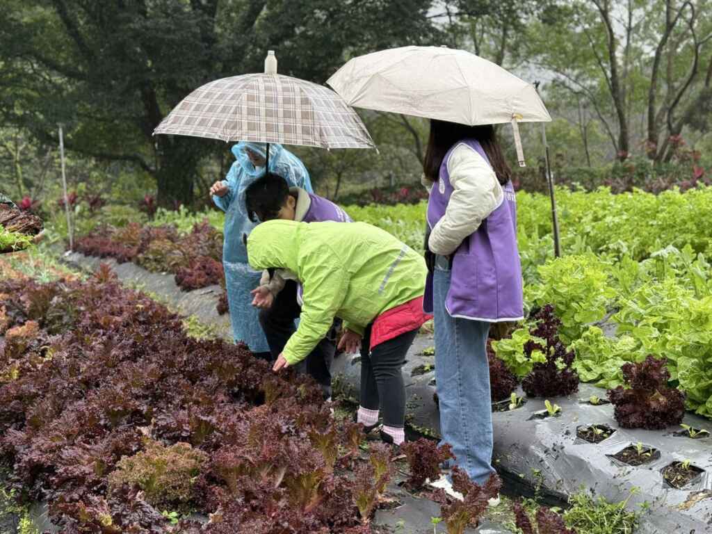 ▲從農場到餐桌 親手採收