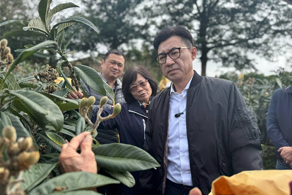 枇杷受氣候變遷受損4成 江啟臣實地會勘要求農政單位速救助 214 枇杷受氣候變遷受損4成 江啟臣實地會勘要求農政單位速救助 213