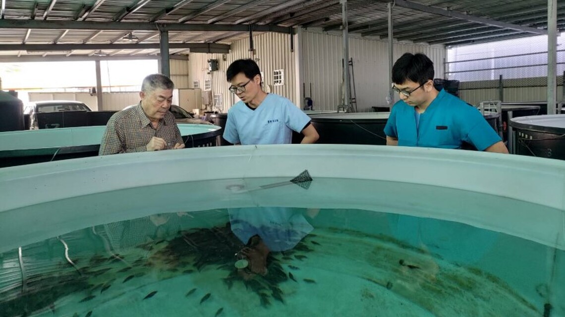 立春魚苗放養黃金期 「預防勝於治療」 動保處呼籲積極管理、防範疾病 創造大豐收
