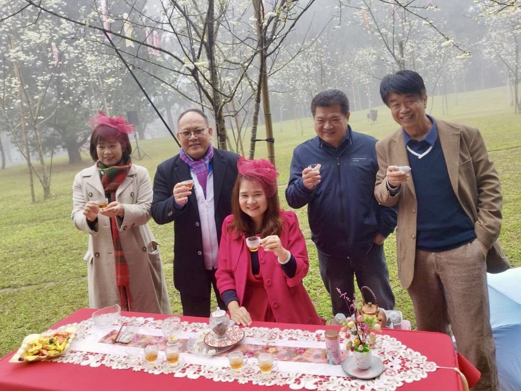 九族文化村將在2/14、3/7在台灣雪櫻、富士櫻下各舉辦一場櫻花茶會。▲（記者蘇彩娥攝）