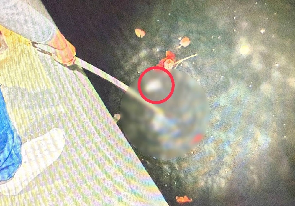 高雄打撈出十數塊人體殘肢與人皮 鄰居驚呼原來隔壁住著殺人魔 233 248250208a08