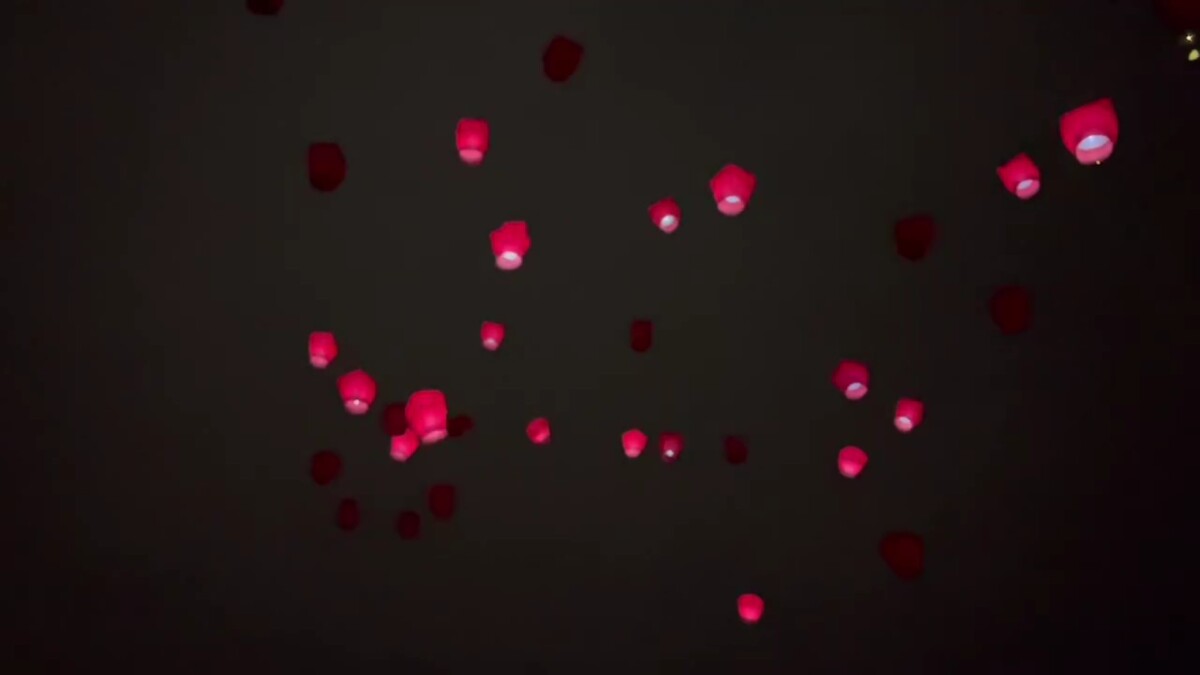 9215072360a53e5da143410b800e3067