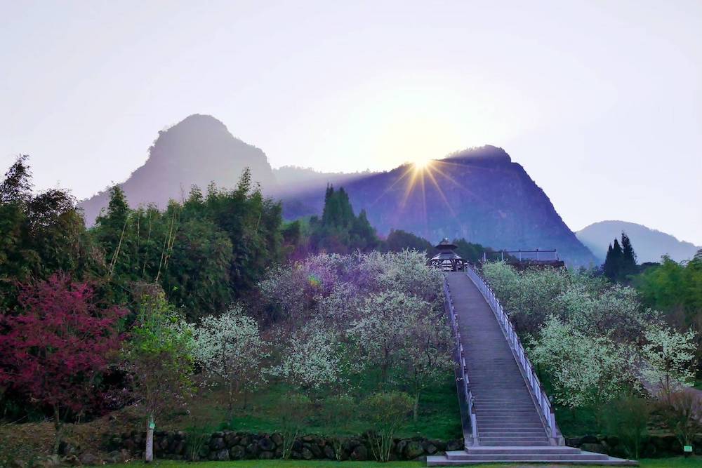 ▲園區可觀日出等美景。（圖/記者陳惲朋翻攝）