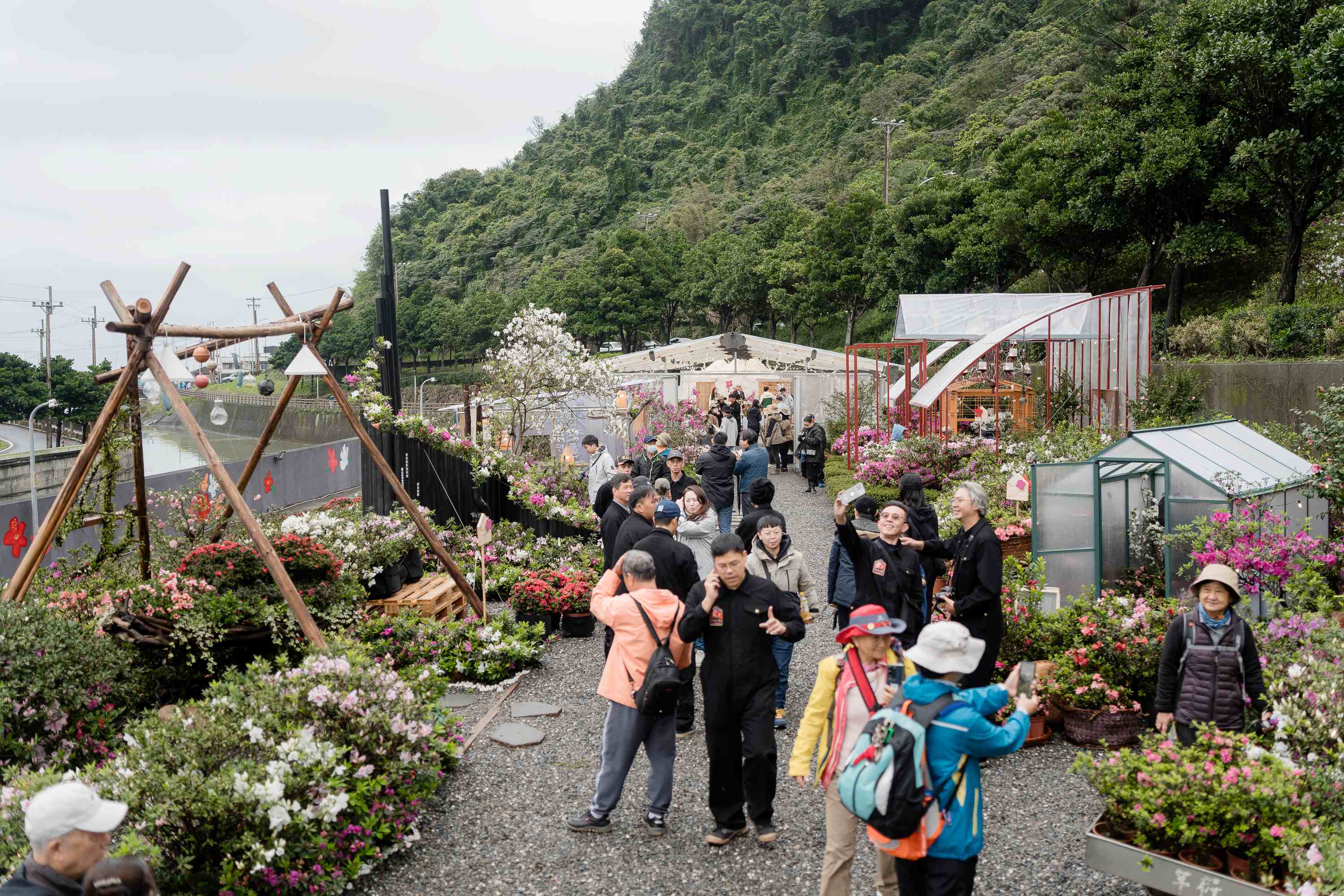 萬金杜鵑花展2月底登場 賞花玩北海岸遊程買一送一優惠 - https://www.watchmedia01.com