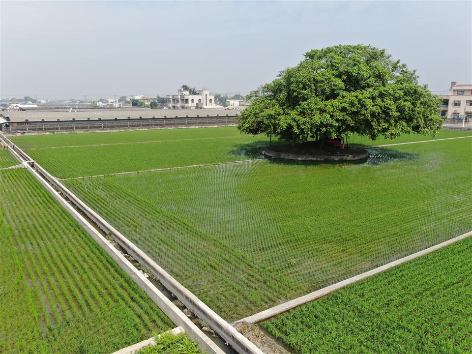 彰化縣首次農地重劃區抵費地標售 5坪農地不到5萬可入手 - https://www.watchmedia01.com