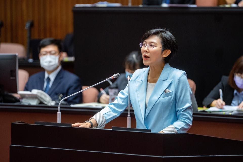 林岱樺籲藍營停止惡意操作　誠懇面對總預算案錯誤