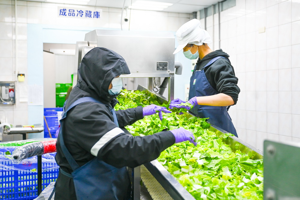 確保學生營養午餐食材品質 桃園有機蔬菜截切廠提供新鮮食材 - https://www.watchmedia01.com