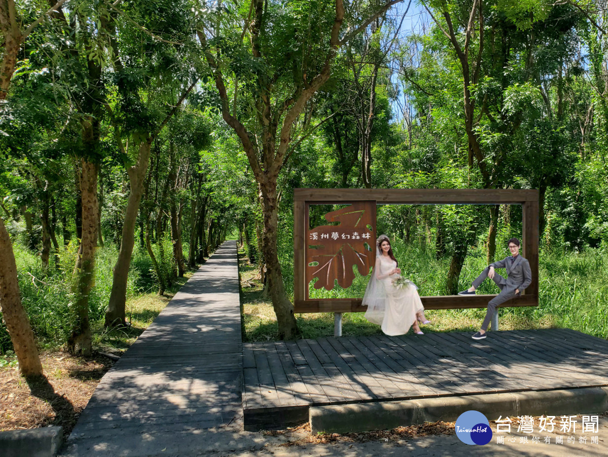 彰縣府斥資千萬改善化溪州公園森林木棧道區「媲美溪頭」。圖/彰化縣政府提供