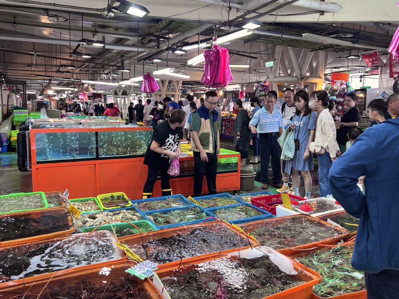 國內現今年首例本土傷寒　疑食用受污染海鮮感染