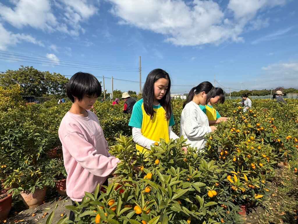 ▲學生們在體驗中學習到珍惜食物的重要性，並理解如何充分利用金桔，避免食物浪費及農業廢棄物。（記者林明佑翻攝）
