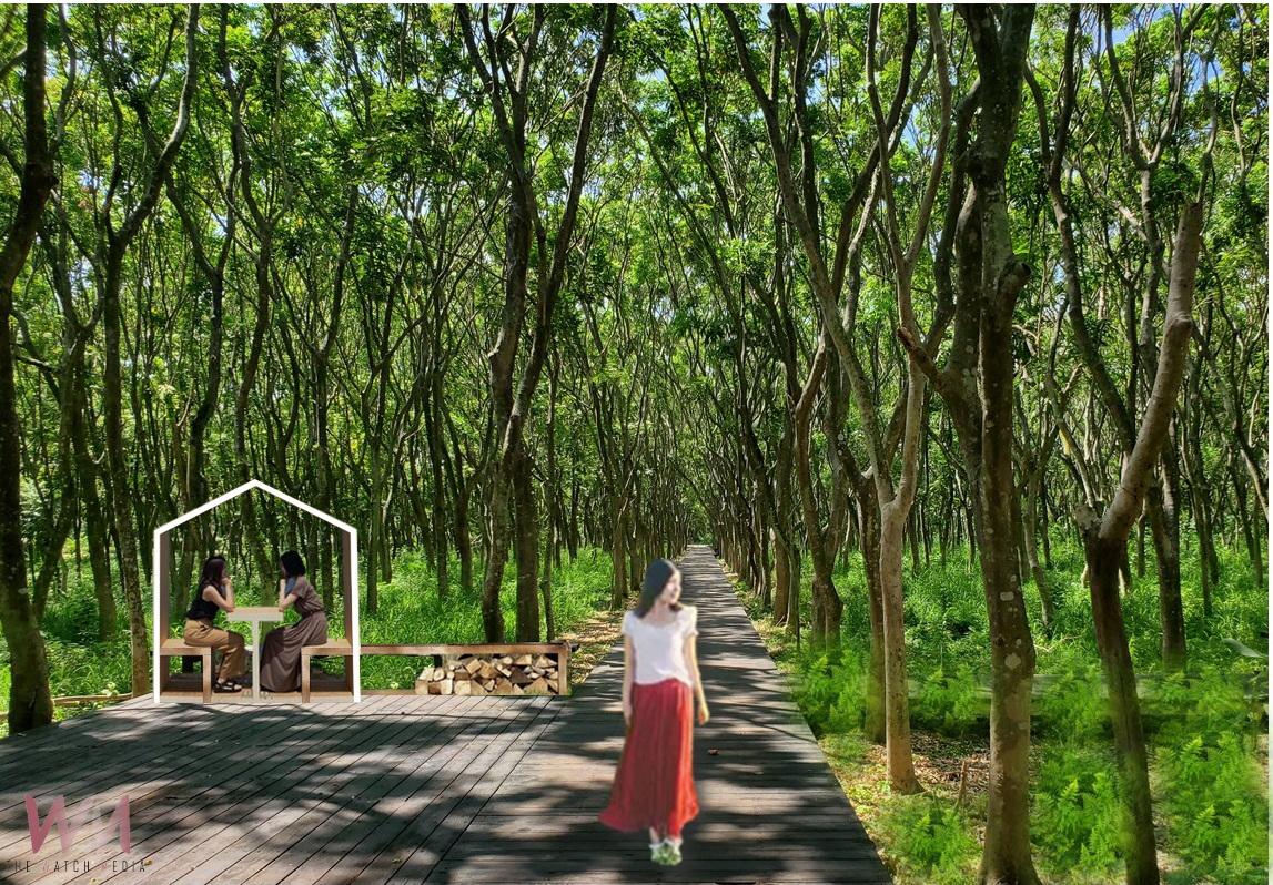(有影片)/不再補丁 溪州公園木棧道大翻新 打造零距離的平地森林公園 - https://www.watchmedia01.com