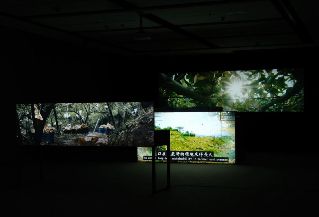 《橫山豐水》陳亮璇個展│許博彥攝影