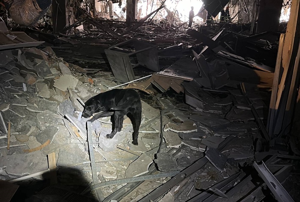 台中新光三越氣爆 4人死亡26人輕重傷搜救犬進駐 212 cnews204250213a04
