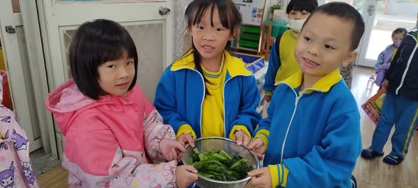 傳承本土文化!龍岡國小學子親手作鹹菜 學習客家智慧 65 124256 0