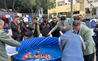 桃園錦鯉博覽品評會登場 開放民眾共賞「活藝術」 76 438779 0