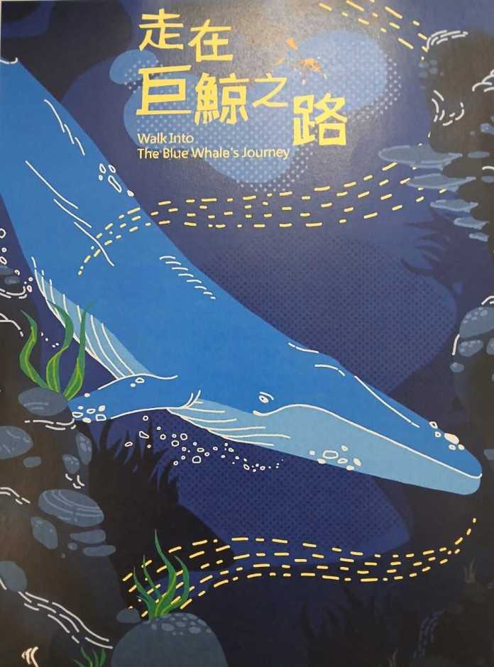 近距離賞鯨!海生館限定特展帶你探索鯨豚奧秘 62 123465486