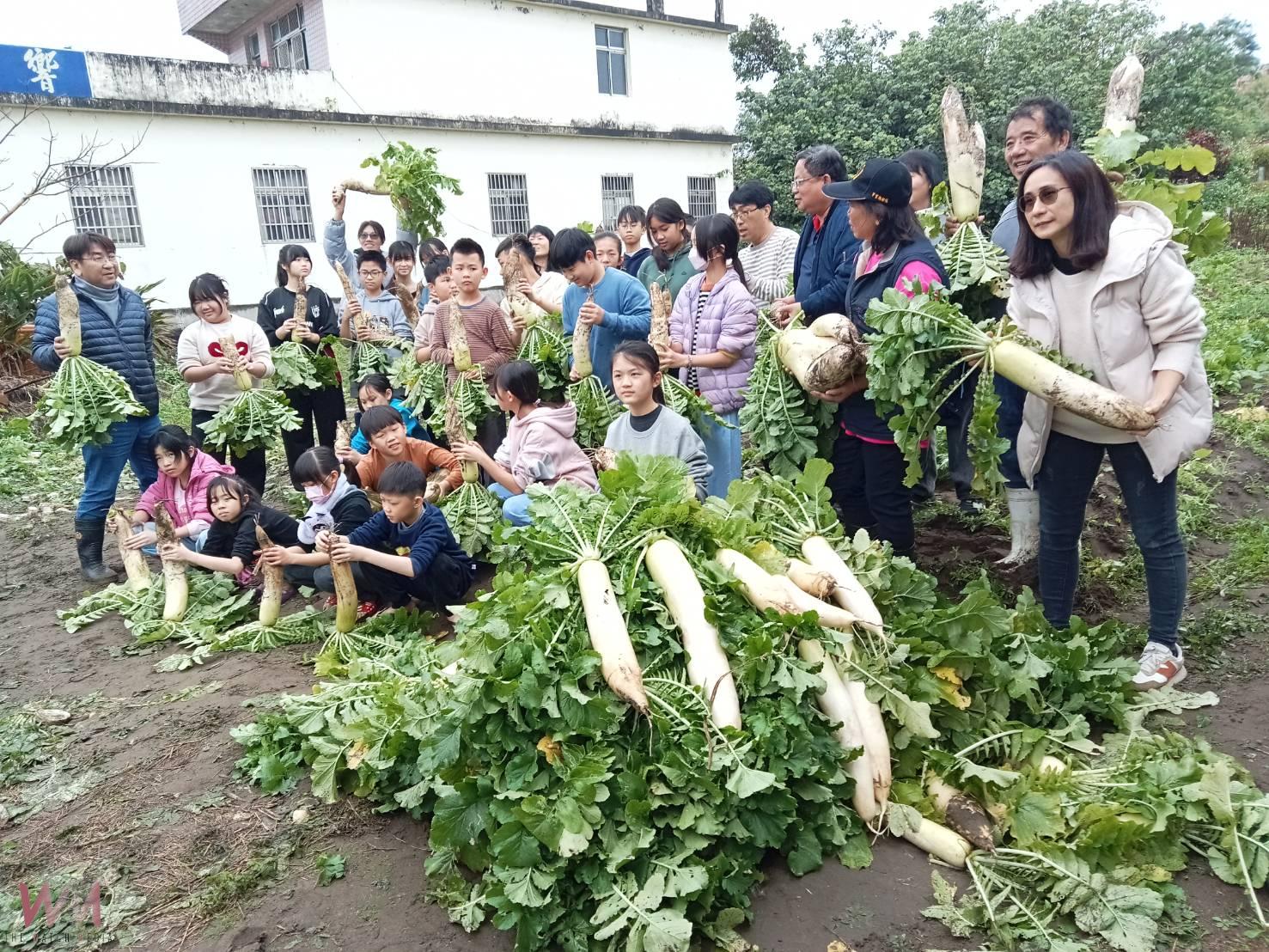 夏季種花生冬季植蘿蔔 竹安國小學童體驗農作又積累畢旅經費 - https://www.watchmedia01.com