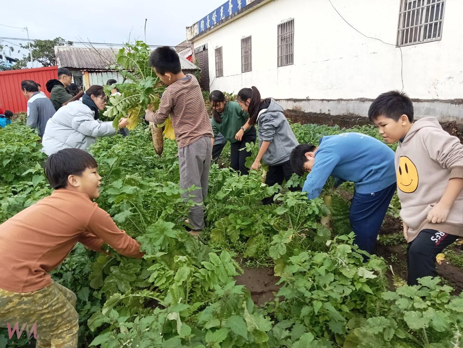 夏季種花生冬季植蘿蔔 竹安國小學童體驗農作又積累畢旅經費 - https://www.watchmedia01.com
