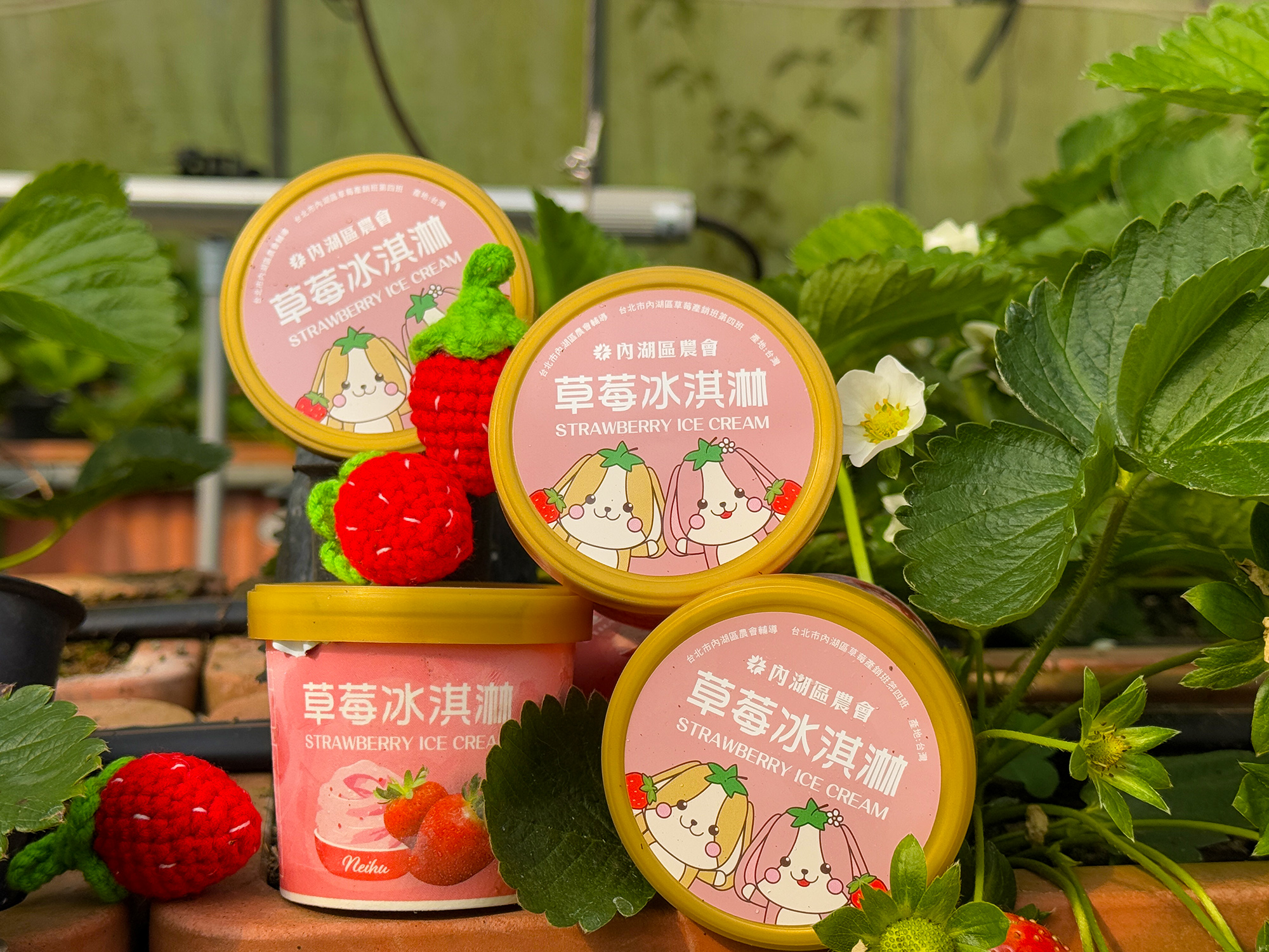 2025內湖草莓季邀你體驗莓好花樣輕旅行 線上再抽大獎！ - https://www.watchmedia01.com