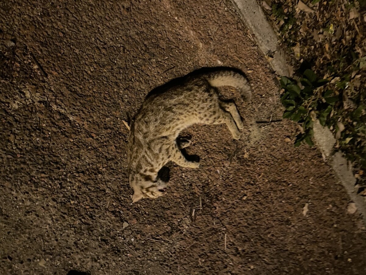 Db0ff14f60df63d91af116062fcbc138