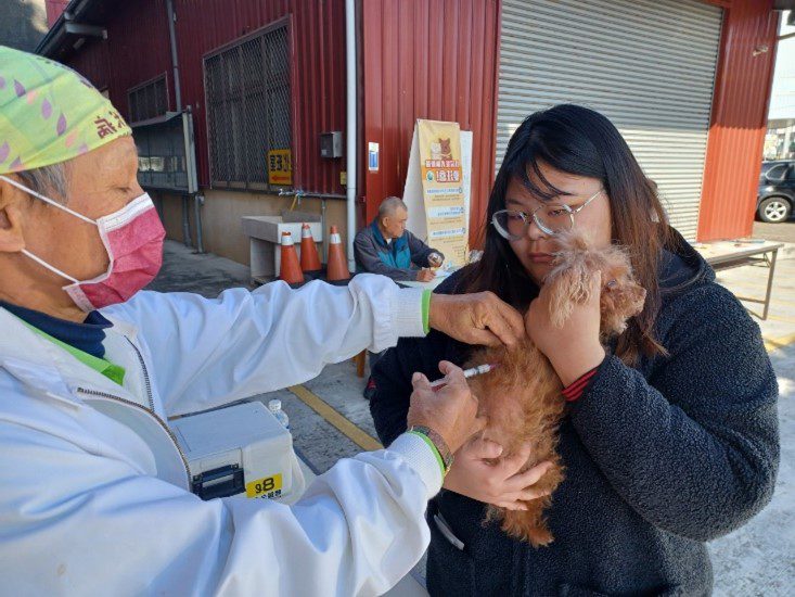 守護毛孩健康！台中3、4月推18場免費疫苗晶片注射活動
