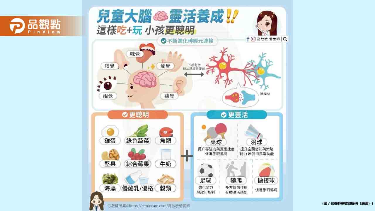 兒童大腦靈活養成 今天就來探討怎麼吃加動
