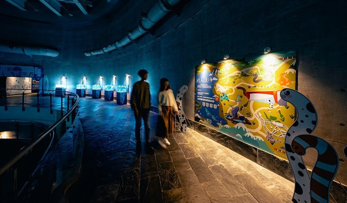 屏東海生館《我的鰻朋友》活動進入尾聲 把握228連假鰻遊海底世界 探索鰻類生物的奧秘