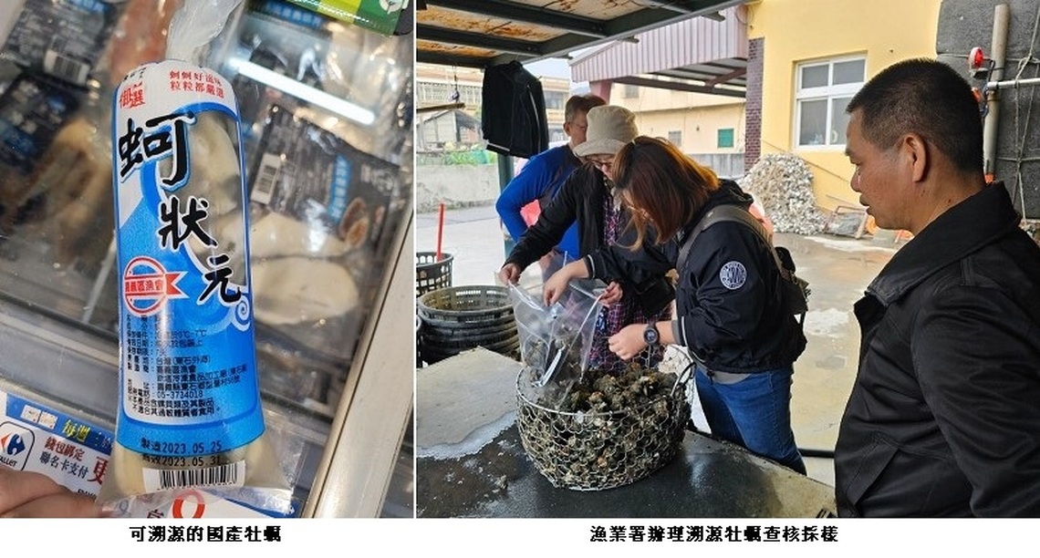 打擊進口低價牡蠣混充偽冒國產 多管齊下提升食安與維護產業秩序