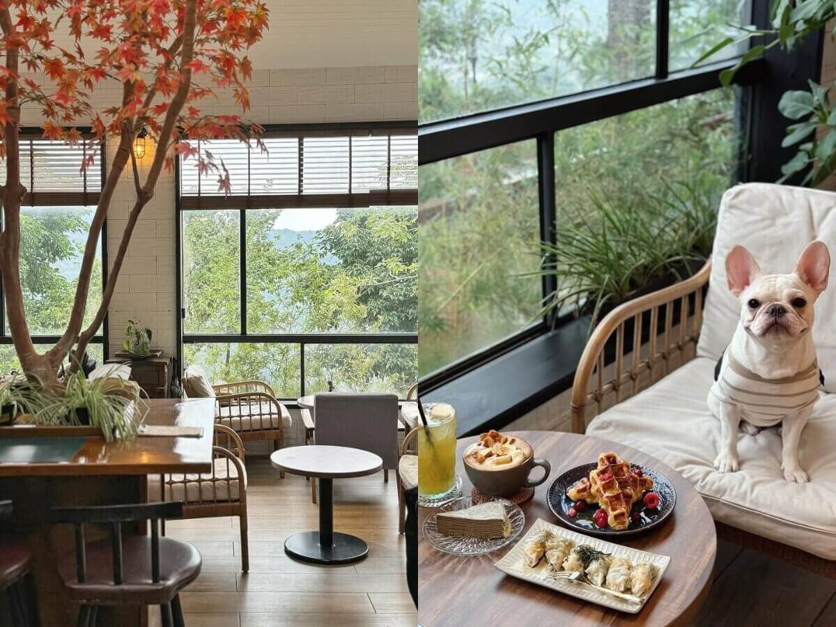 新北景點|金山一日遊,神秘海岸、舊金山總督溫泉、猿咖啡等6大必遊必吃景點