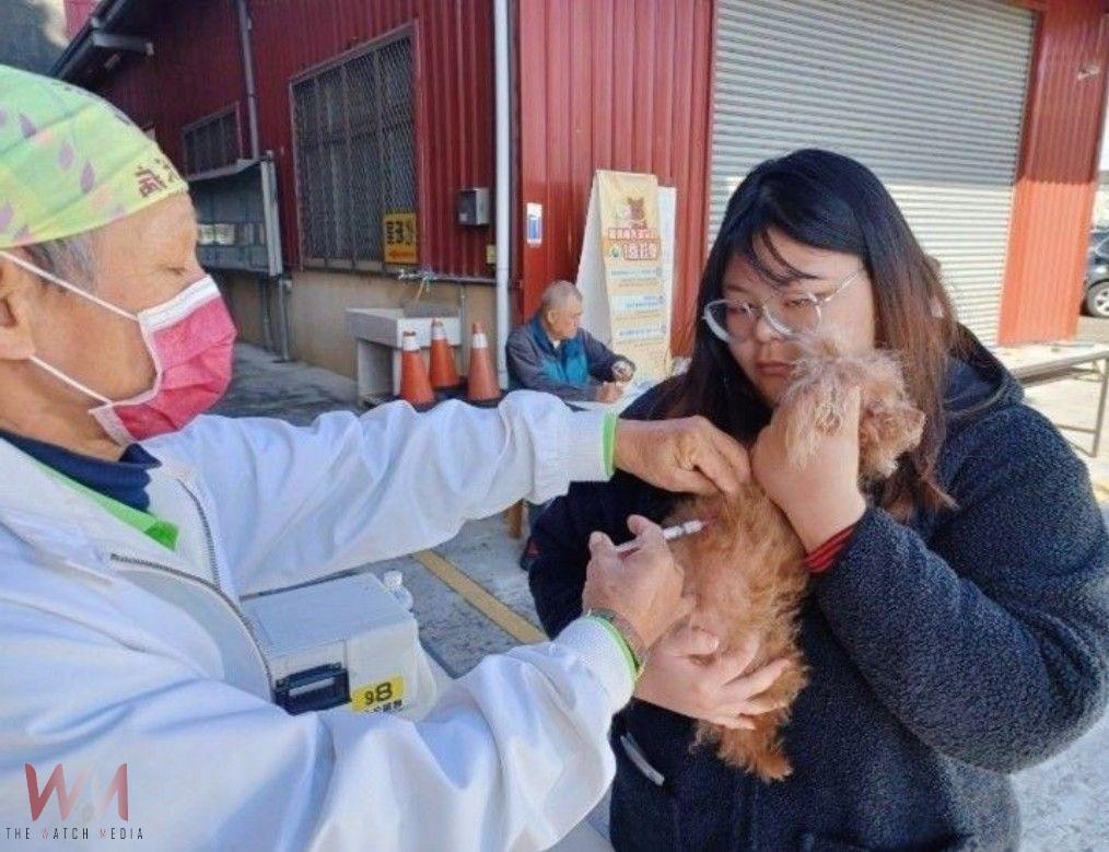 共護毛孩健康　中市動保處犬貓狂犬病巡迴注射活動3月開跑