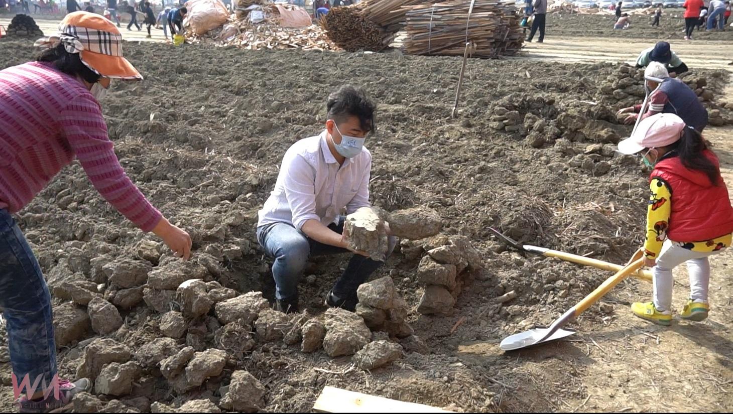 (有影片)/2025水林番薯文化節3月1日登場 4千斤地瓜提供焢窯體驗兒時回憶 - https://www.watchmedia01.com
