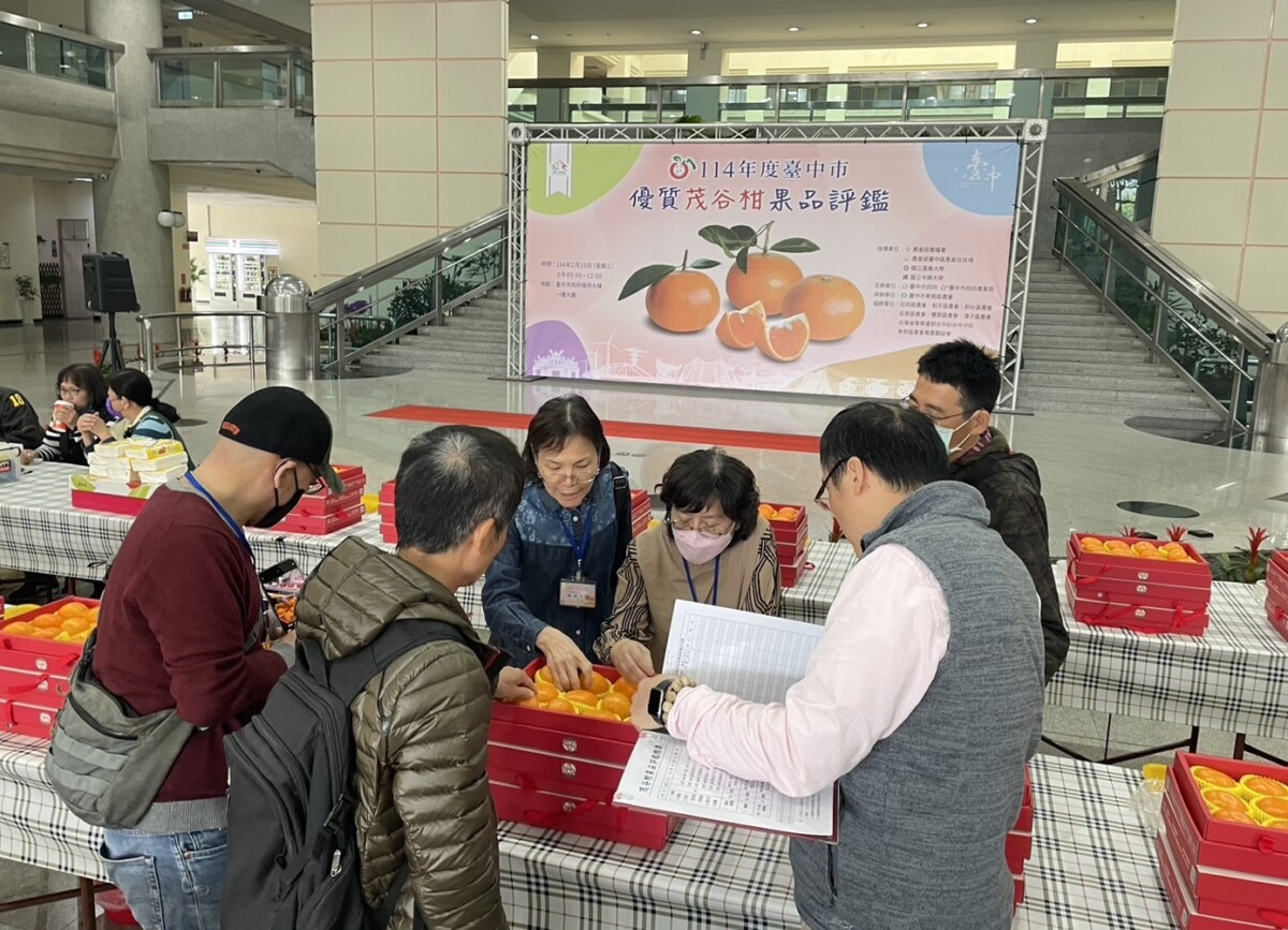 ▲茂谷柑果品評鑑，評審品評果品。(圖/記者顏淑娟翻攝)